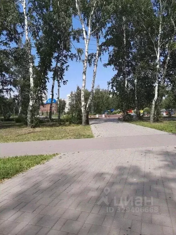 Студия Омская область, Омск Сибирский просп., 45/1 (34.0 м) - Фото 2