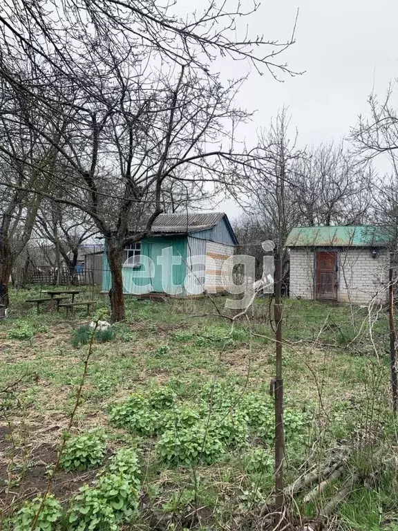 Дом в Белгородская область, Белгород Зеленая Горка садоводческое ... - Фото 0