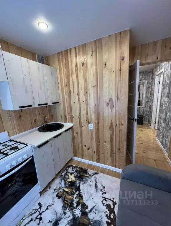 1-к кв. Псковская область, Великие Луки ул. Ботвина, 9к3 (30.0 м) - Фото 1