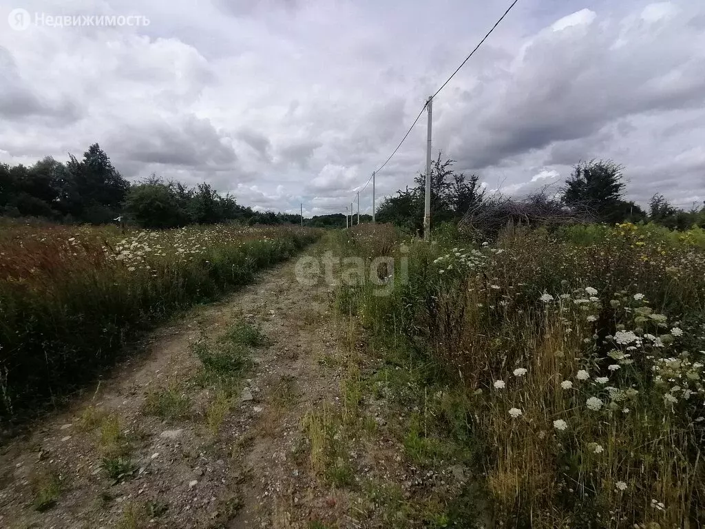 Купить Участок Ижс Калининградская Область