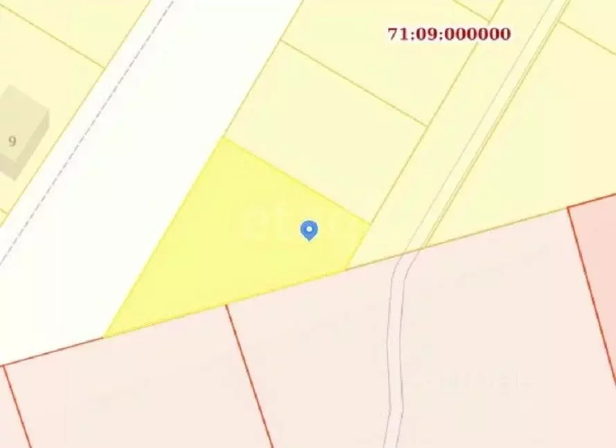 Участок в Тульская область, Заокский район, Демидовское с/пос, с. ... - Фото 2