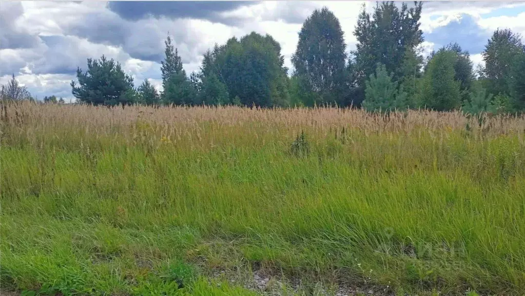Участок в Московская область, Орехово-Зуевский городской округ, д. ... - Фото 1