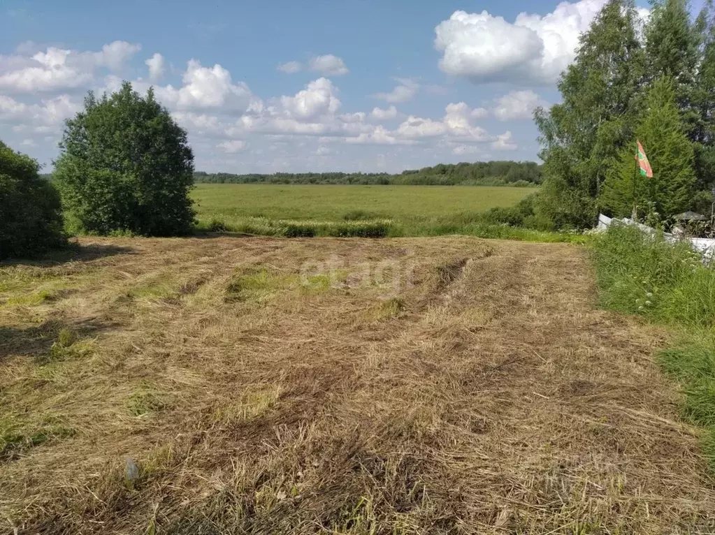 Участок в Костромская область, Красносельский район, Шолоховское ... - Фото 0