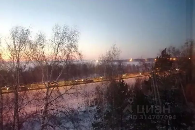 1-к кв. Новосибирская область, Новосибирск Рыбацкая ул., 17 (33.0 м) - Фото 1