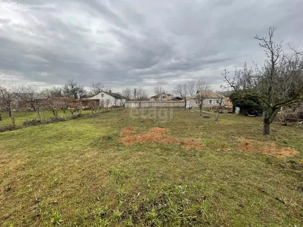 Участок в Родниковское сельское поселение, село Аркадьевка, Раздольная ... - Фото 2