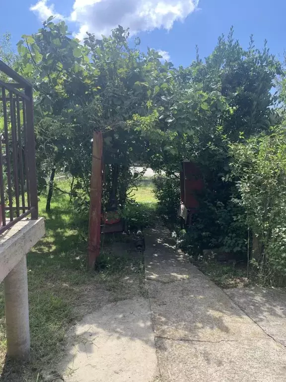 Дом в Краснодарский край, Сочи городской округ, с. Верхний Юрт ул. ... - Фото 1