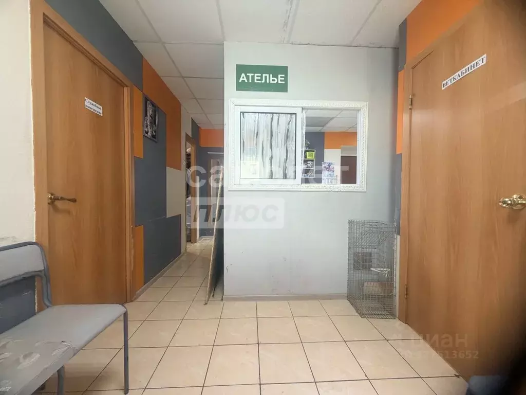 Помещение свободного назначения в Челябинская область, Челябинск ... - Фото 1