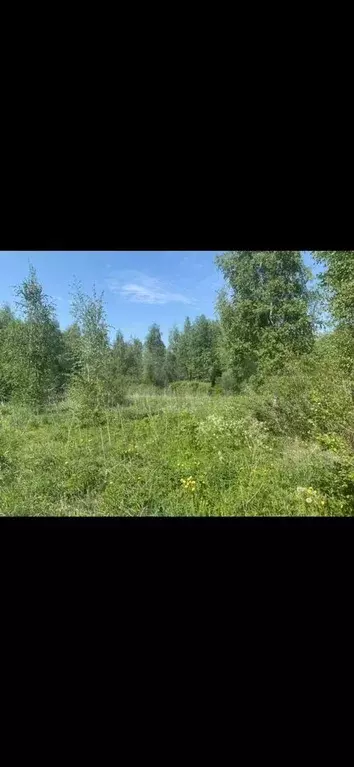 Участок 11 сот. (ИЖС) - Фото 0
