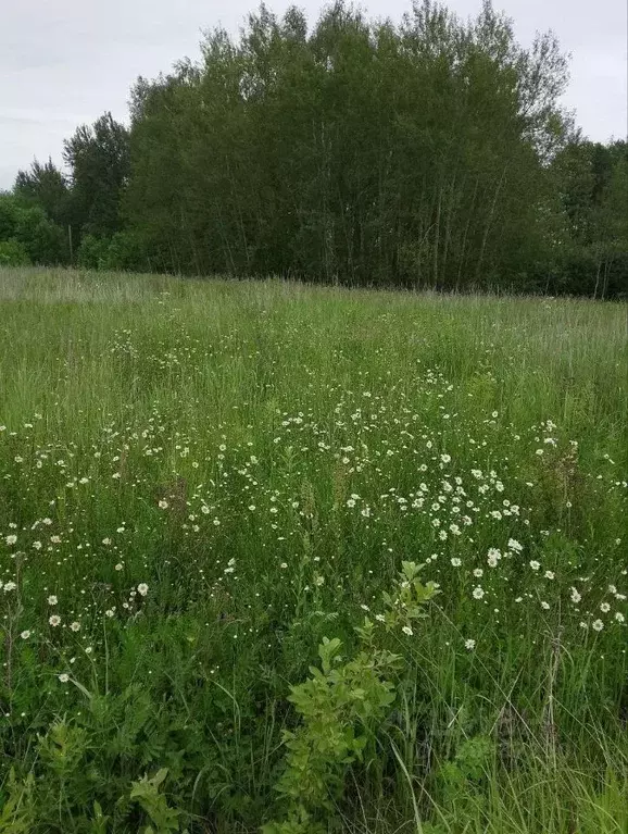 Участок в Московская область, Раменский муниципальный округ, ... - Фото 0