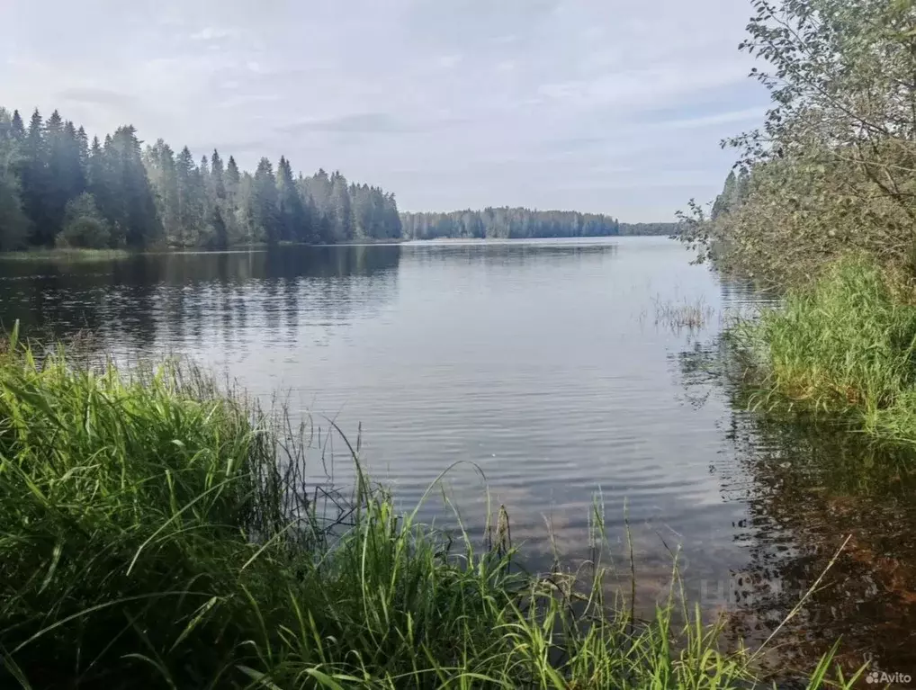 Дом в Новгородская область, Валдайский муниципальный округ, ... - Фото 1