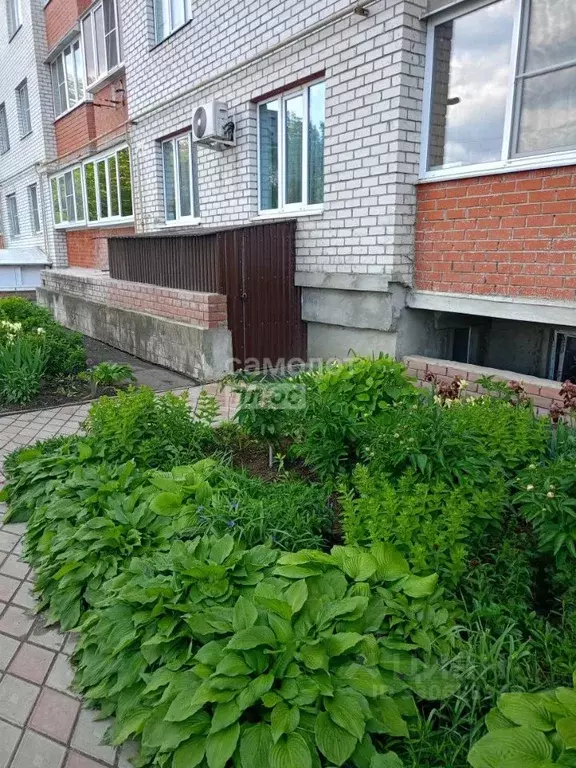 Помещение свободного назначения в Курская область, Курск Орловская ... - Фото 1