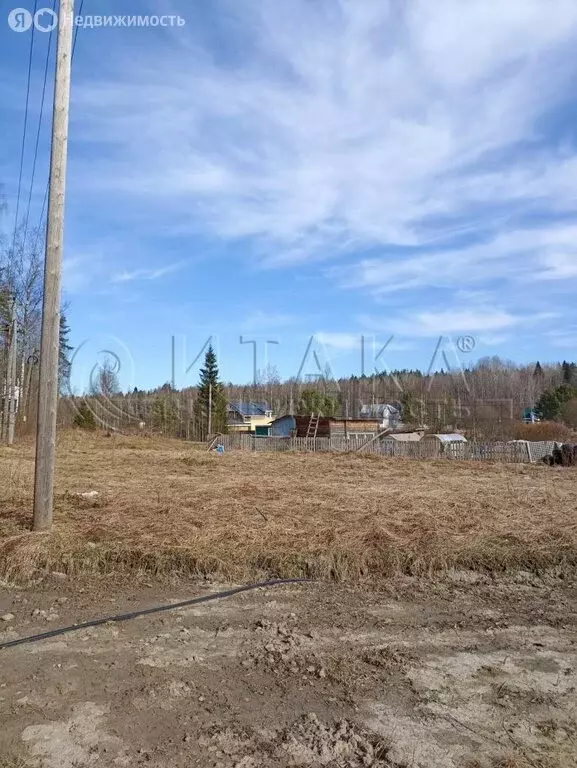 Участок в Выборгский район, Каменногорское городское поселение, СНТ ... - Фото 1