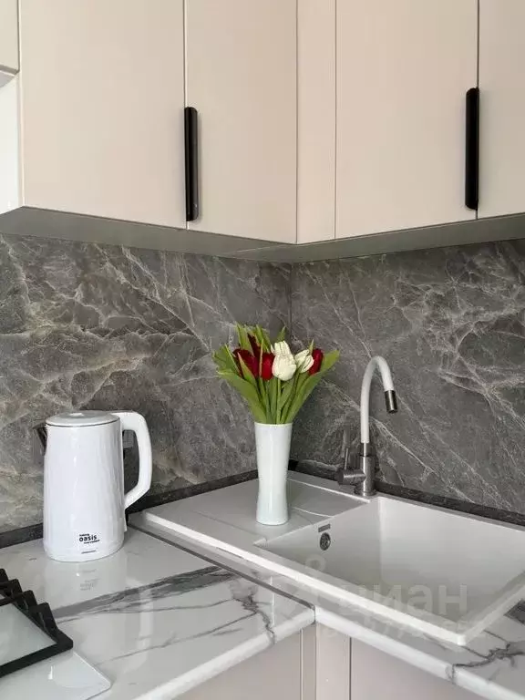 1-к кв. Крым, Симферополь ул. Гагарина, 31 (31.0 м) - Фото 2