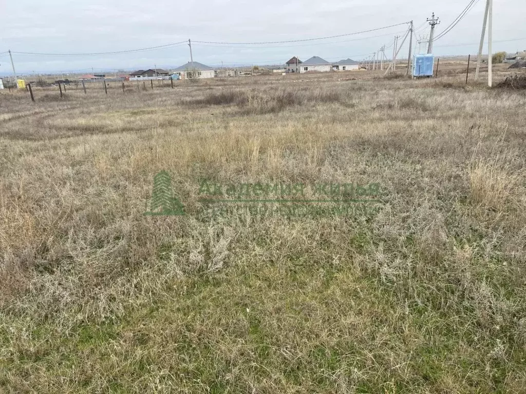 Участок в Саратовская область, Энгельсский район, Терновское ... - Фото 2