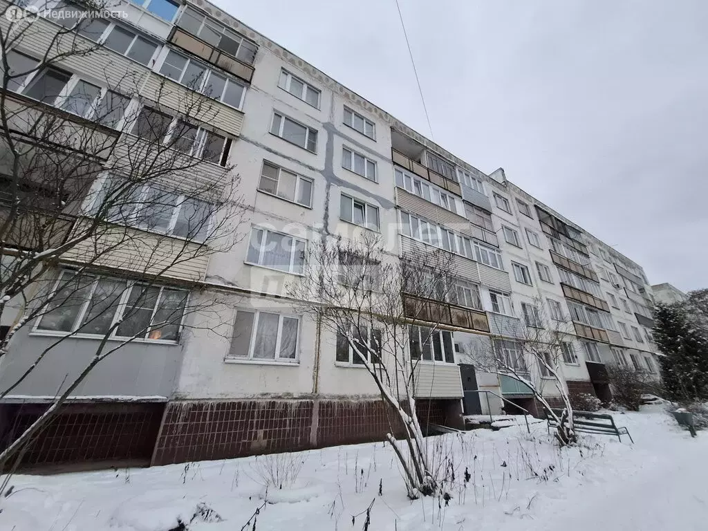 1-комнатная квартира: посёлок Любучаны, Спортивная улица, 9 (32 м) - Фото 2