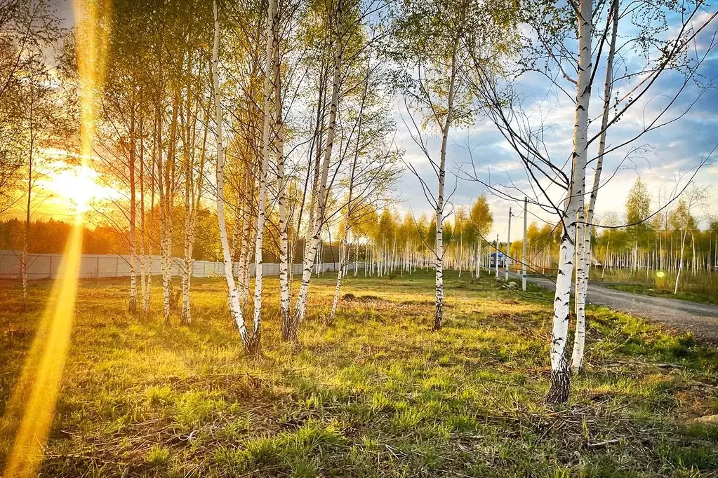 Участок в Московская область, Дмитровский муниципальный округ, д. ... - Фото 1