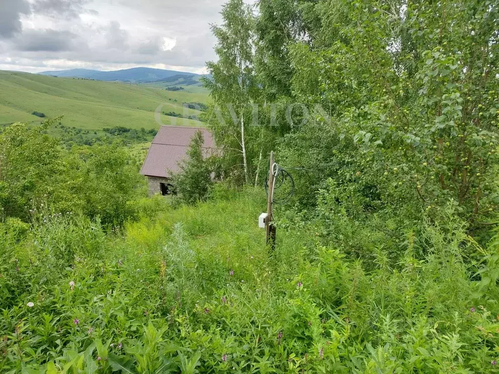 Участок в Алтай, Горно-Алтайск Совхозная ул. (8.4 сот.) - Фото 0