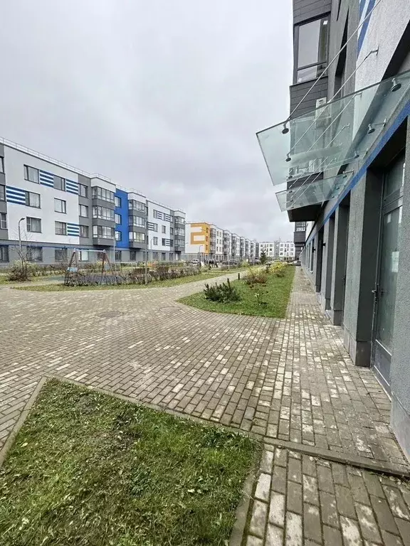 2-к кв. Ленинградская область, Гатчинский муниципальный округ, д. ... - Фото 2