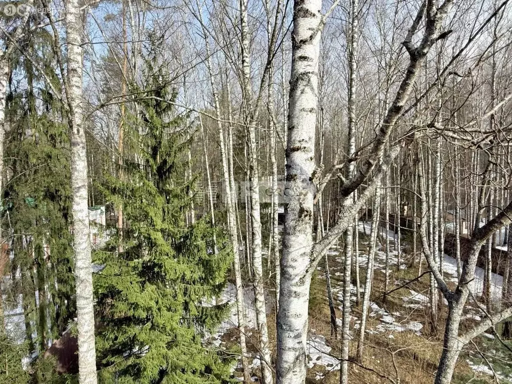 Участок в деревня Новодарьино, ДП Новодарьино РАН (42.62 м) - Фото 1