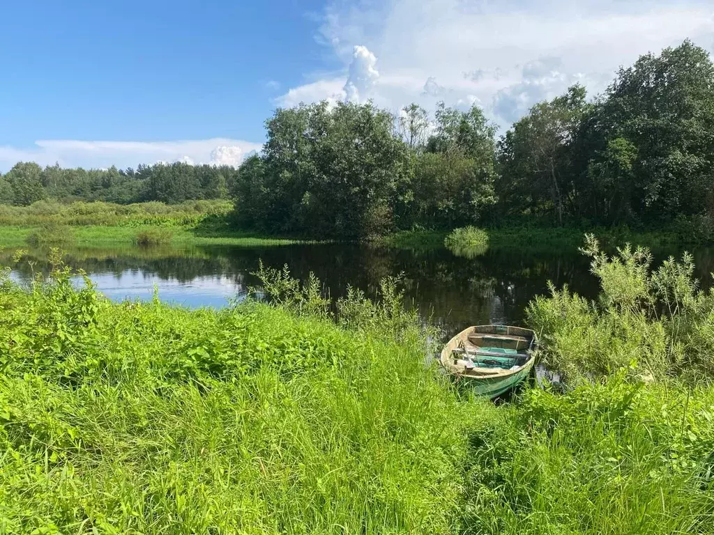 Участок в Псковская область, Пушкиногорье городское поселение, д. ... - Фото 1