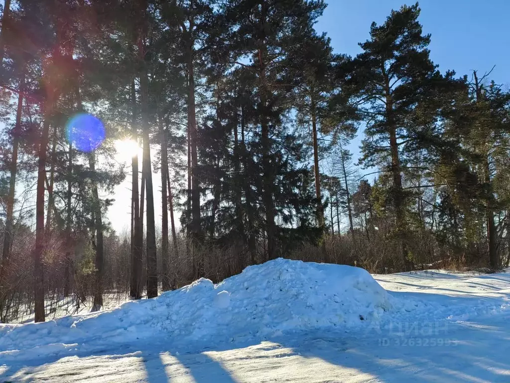 Участок в Московская область, Шаховская муниципальный округ, д. ... - Фото 2
