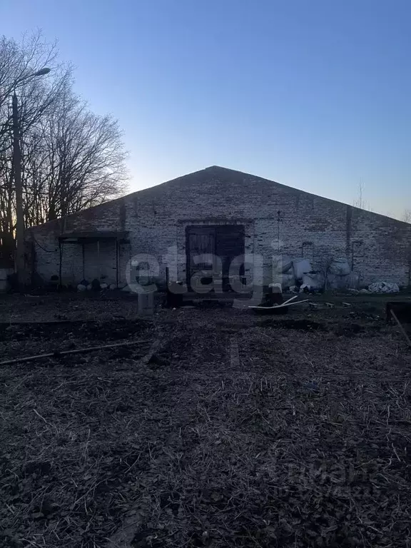 Склад в Тульская область, Алексин городской округ, д. Борисово  (1786 ... - Фото 1