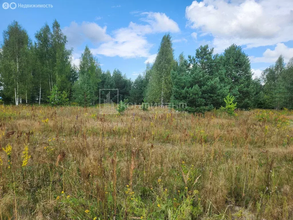 Участок в Владимир, Вальковская улица, 40 (11.31 м) - Фото 1