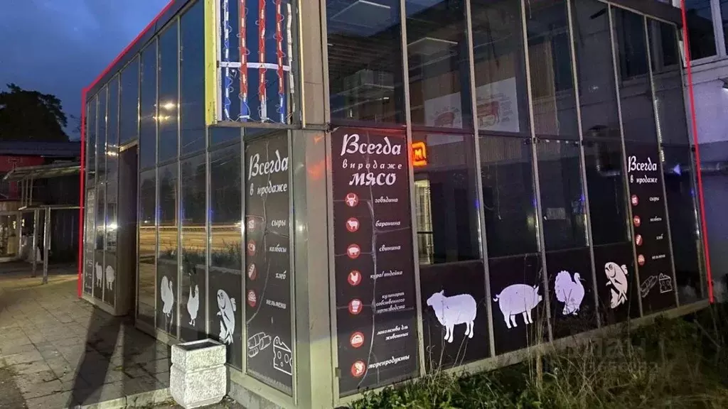 Помещение свободного назначения в Санкт-Петербург пос. Лисий Нос, ... - Фото 1