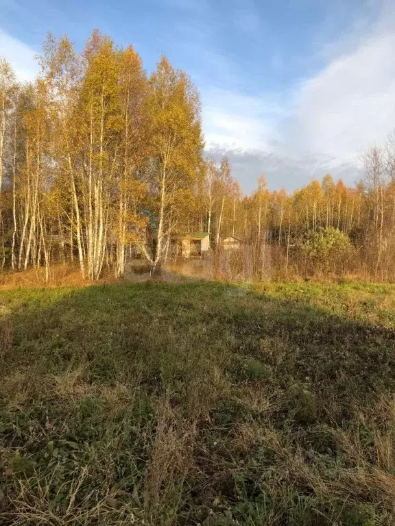 Участок в Курганская область, Кетовский муниципальный округ, д. Лукино ... - Фото 2