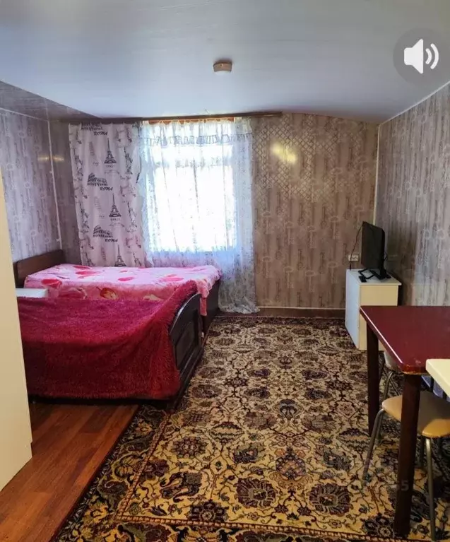 1-к кв. Краснодарский край, Сочи Веселое мкр,  (28.0 м) - Фото 2