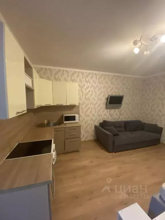 Студия Московская область, Реутов Носовихинское ш., 25 (30.0 м) - Фото 1
