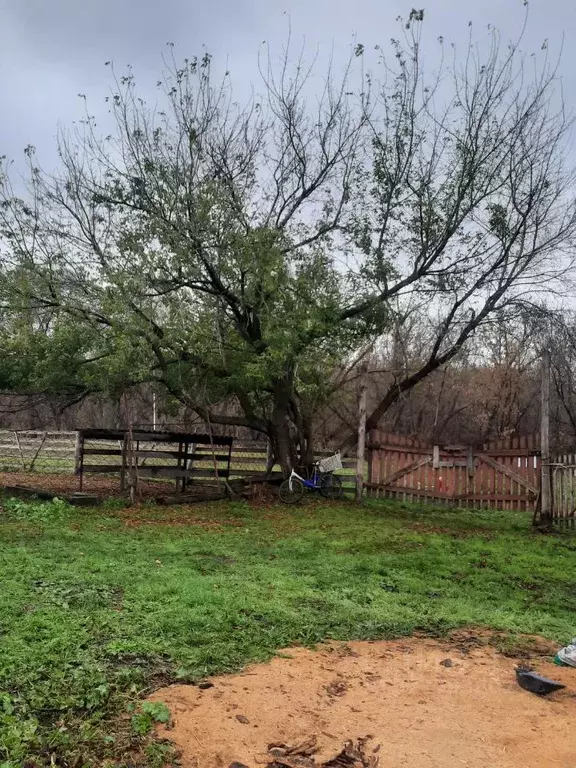 Дом в Алтайский край, Бийский район, пос. Полеводка Центральная ул. ... - Фото 1