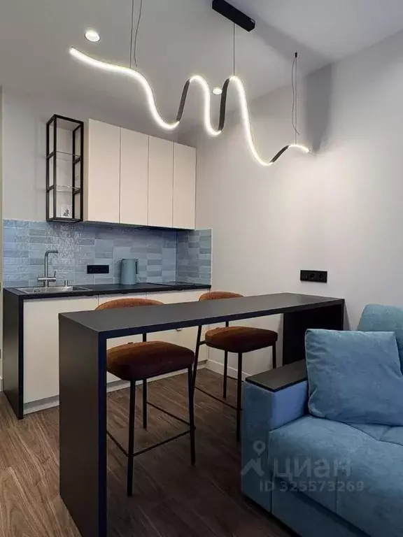 Студия Санкт-Петербург просп. Крузенштерна, 4 (20.5 м) - Фото 2