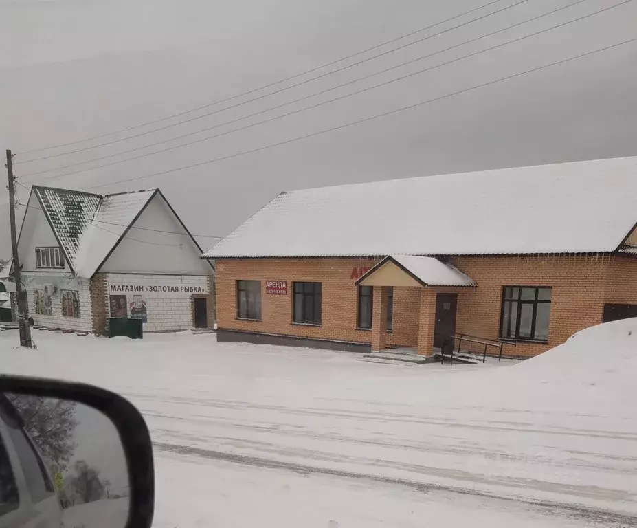 Торговая площадь в Новосибирская область, Черепановский район, с. ... - Фото 1