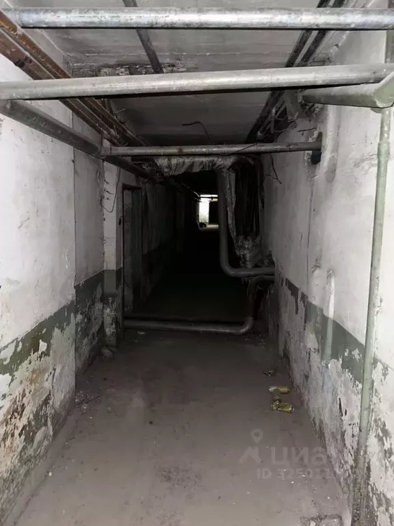 Помещение свободного назначения в Омская область, Омск Привокзальный ... - Фото 2