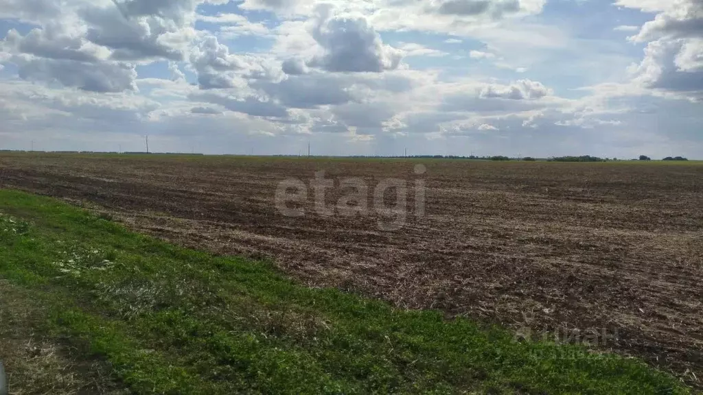 Участок в Омская область, Шербакульский район, с. Борисовское  (1390.0 ... - Фото 0