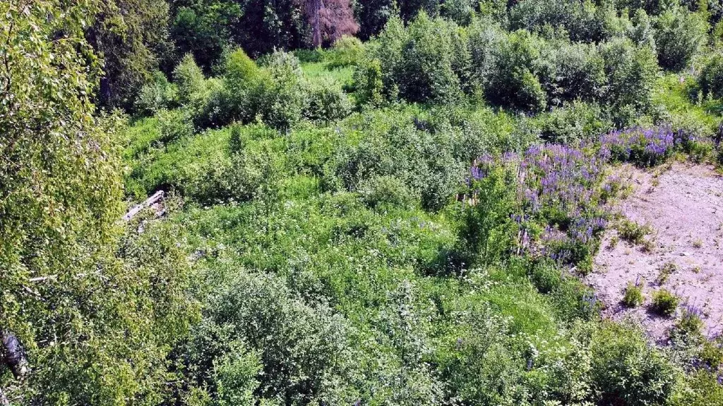 Участок в Карелия, Лахденпохский муниципальный округ, пос. Ихала  ... - Фото 2