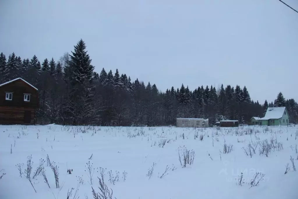 Участок в Московская область, Шаховская муниципальный округ, с. ... - Фото 1