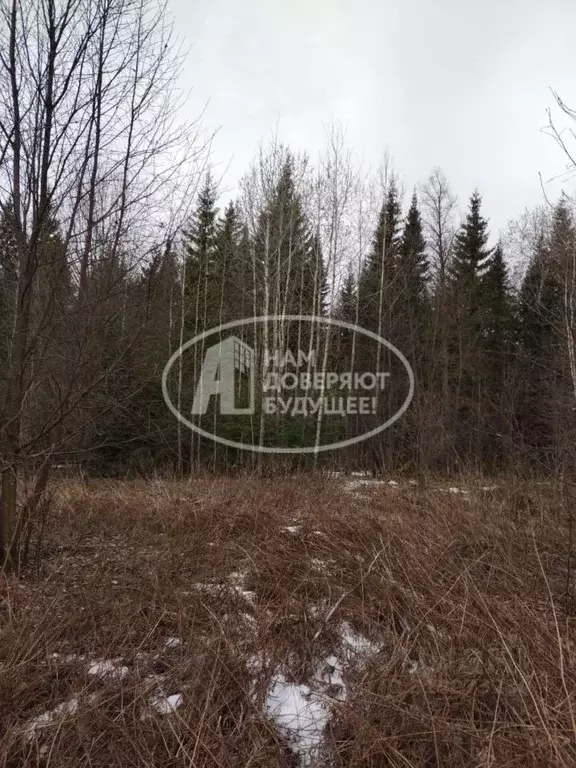 Участок в Пермский край, Пермь ул. 1-я Соболинская (250000.0 сот.) - Фото 2