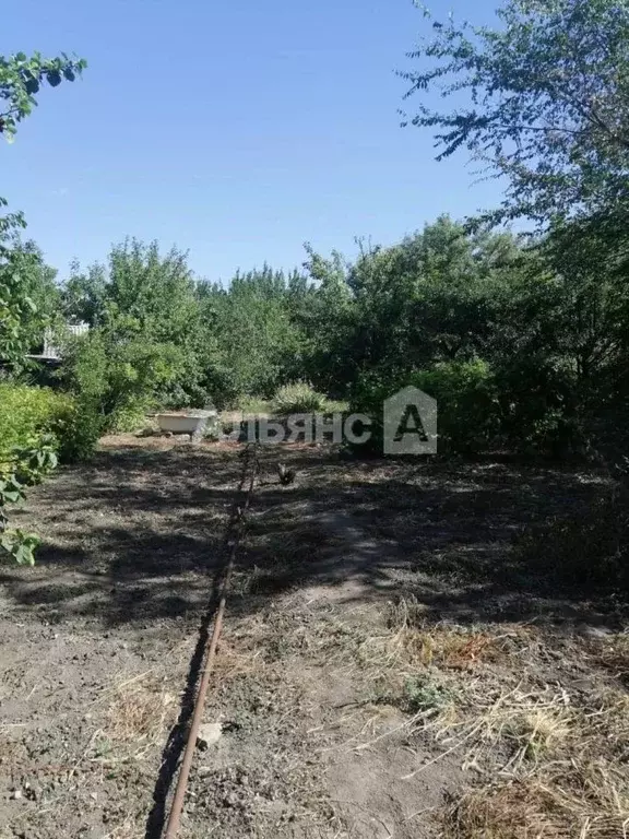 Участок в Ростовская область, Белокалитвинское городское поселение, ... - Фото 2