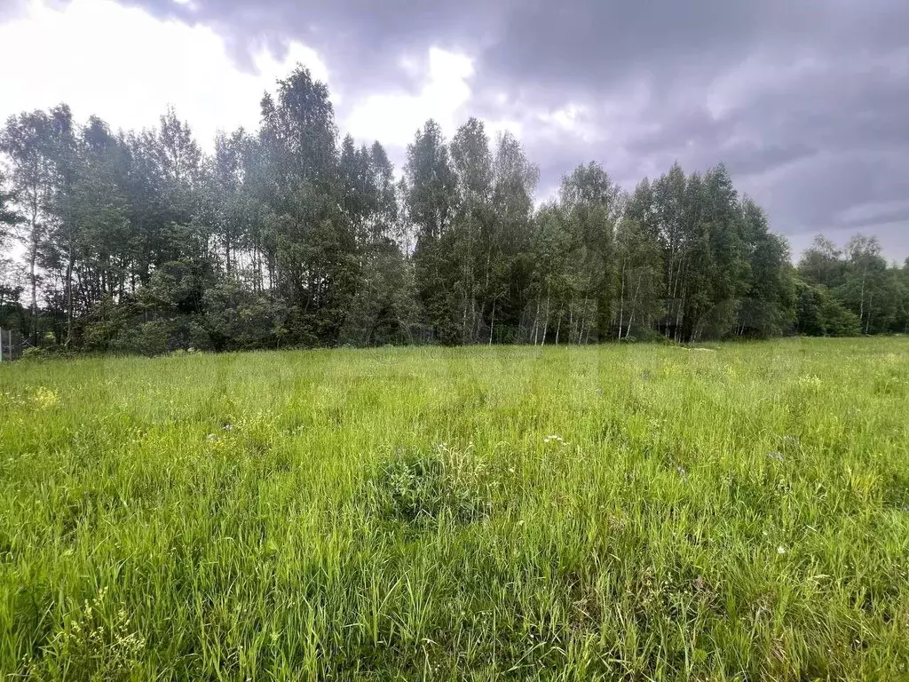 Участок 8 сот. (СНТ, ДНП) - Фото 0