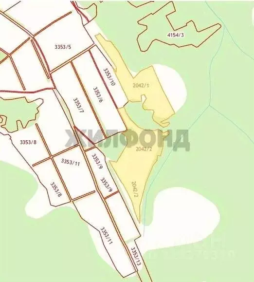 Участок в Новосибирская область, Новосибирский район, Станционный ... - Фото 1