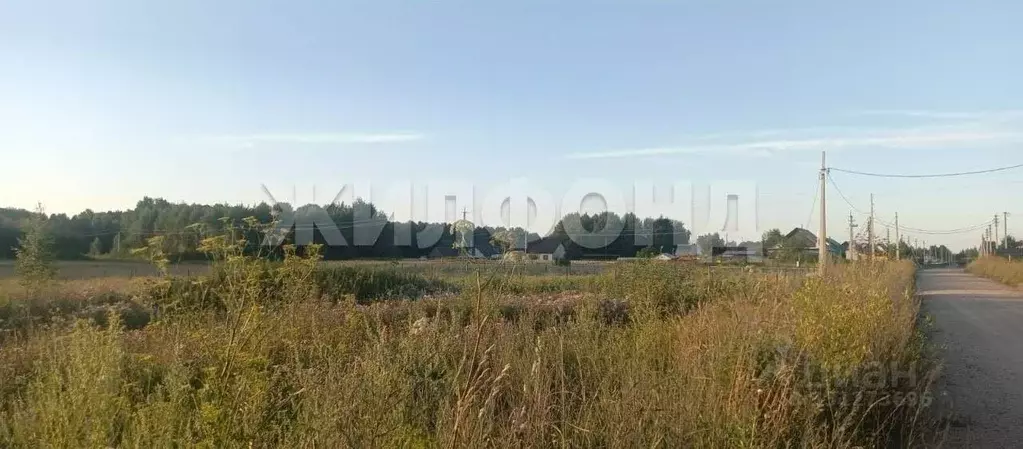 Участок в Новосибирская область, Колыванский район, с. Скала ул. 60 ... - Фото 1