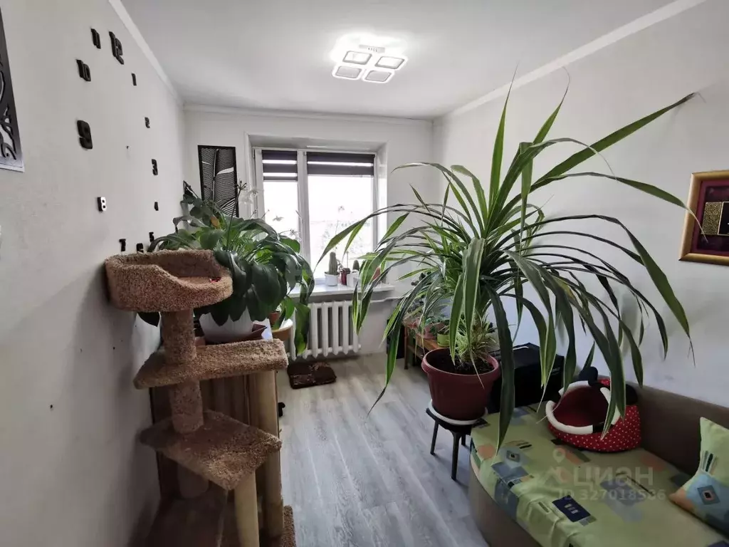 3-к кв. Камчатский край, Петропавловск-Камчатский ул. Виталия Кручины, ... - Фото 2