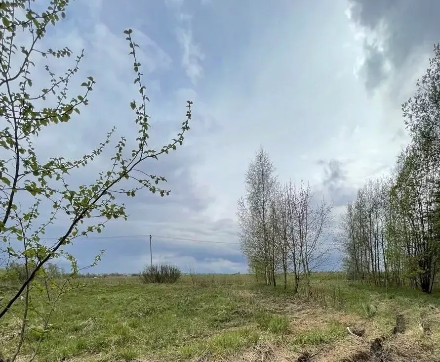 Участок в Ленинградская область, Ломоносовский район, Аннинское ... - Фото 0