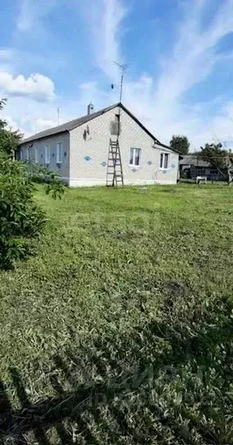 3-к кв. Тамбовская область, Сампурский муниципальный округ, с. ... - Фото 1