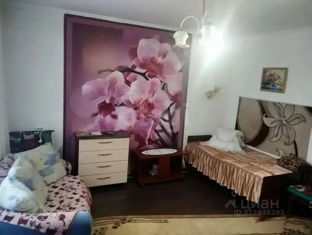 1-к кв. Красноярский край, Красноярск Северный мкр, пер. ... - Фото 0