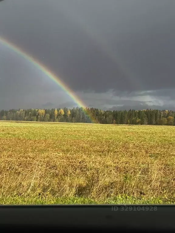 Участок в Ленинградская область, Волосовский район, Клопицкое с/пос, ... - Фото 1