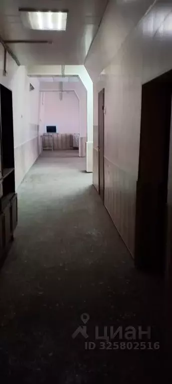 Помещение свободного назначения в Новосибирская область, Новосибирск ... - Фото 1