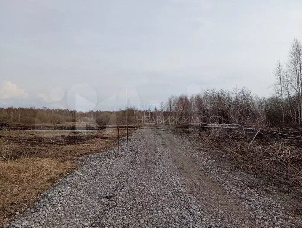 Участок 10 сот. (СНТ, ДНП) - Фото 1